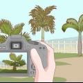 Ta bort en palm