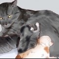 Mata en nyfödd kattunge