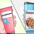 Tvätta en shih tzu-valp