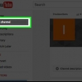 Bli en stjärna på youtube