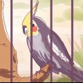 Hur man tämjer en cockatiel