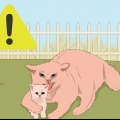 Att fånga en herrelös kattunge