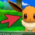 Eevee eevee till espeon eller umbreon
