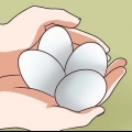 Pastörisera ägg
