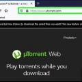 Ladda ner filmer med utorrent