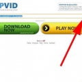 Ladda ner flash-videor