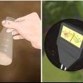 Gödsla fruktträd