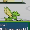 Utvecklande haunter