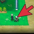 Träna din pokémons ev