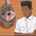 Hur man får en hunds öra att sluta blöda