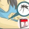 Ta hand om någon med dengue