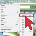 Zooma in på en pc