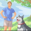 Lär din hund att gå till fots