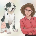 Träna din hund att inte springa iväg