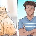 Stoppa din katt från att bita och klia sig