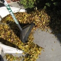 Mulch din trädgård