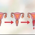 Bestäm din mest fertila dag för att bli gravid
