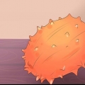 Äter kiwano