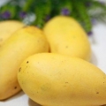 Förvaring av mango