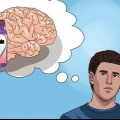 Tar melatonin