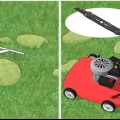 Ta bort mossa från din gräsmatta