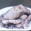 Förbered bläckfisk