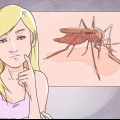 Att skilja mellan malaria, dengue och chikungunya