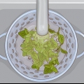 Använder oregano i köket