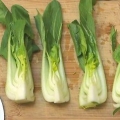 Förbered pak choi