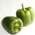 Konservering av paprika