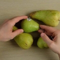 Mogna päron
