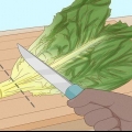 Hålla sallad färsk