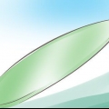 Surfa