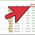 Använder torrents