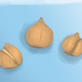 Plantera tulpanlökar