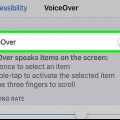 Stäng av voiceover på din iphone