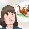 Ta hand om en beaglevalp