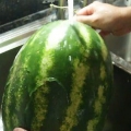 Skära vattenmelon