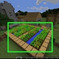 Samla morötter i minecraft