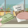 Plantera ökenrosfrön