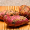 Förvaring av sötpotatis