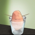 Odla sötpotatis