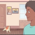 Att få en katt och en hund att tolerera varandra