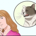 Se till att din katt inte plockar sig själv