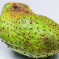 Att göra soursop juice