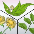 Förebygga tunga perioder: kan det göras naturligt?