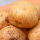 Förkoka potatis