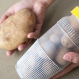 Potatis ben