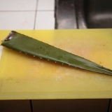 Att göra aloe vera juice