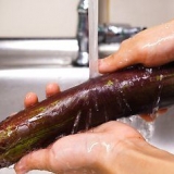 Förbered aubergine